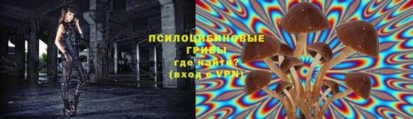 2c-b Балабаново