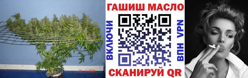 ОМГ ОМГ ссылки  Тайга  Дистиллят ТГК концентрат 